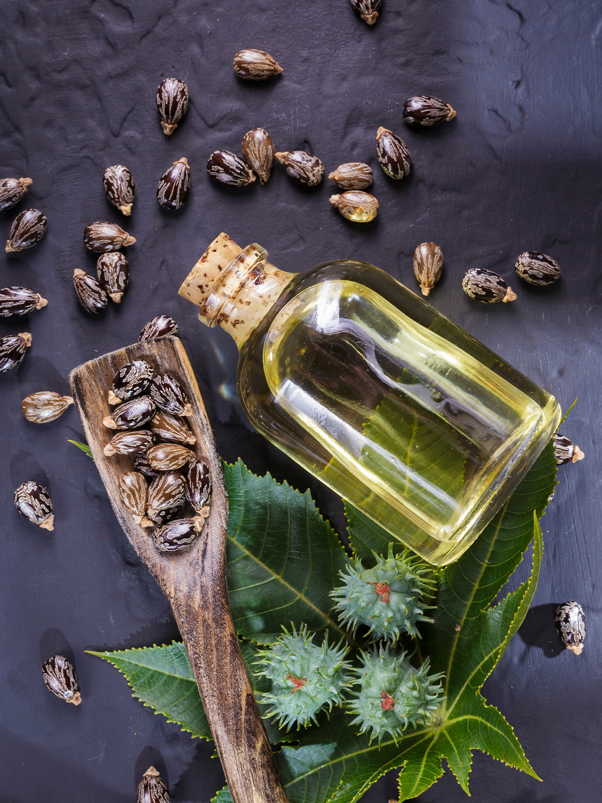 Castor oil deals good for hair